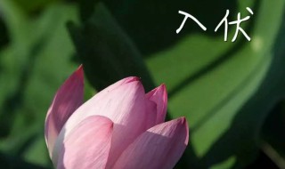 2021年头伏是哪一天（2021年头伏是哪一天?）