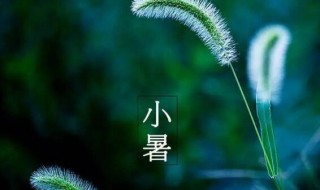 2021年小暑后第一个未日是什么时候（2021年小暑后的第一个未日）