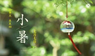 小暑出生的人好吗?（小暑出生的孩子好吗）