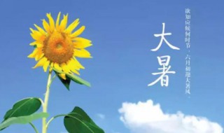 处暑和大暑哪个更热 处暑和大暑哪个更热些