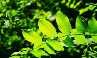 小暑节气的气候特点（小暑节气的含义和特点是什么）