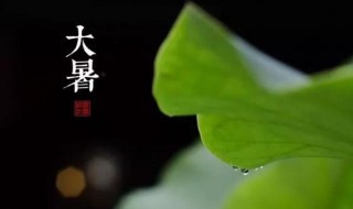 2021年大暑是什么时候 2021年大暑是几月几号几时