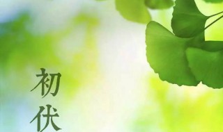 初伏有什么讲究（初伏有什么忌讳）