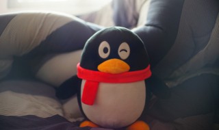 qq怎么解绑手机号（qq怎么解绑手机号码绑定）