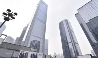 ifs是什么意思（if so是什么意思）