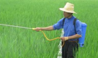 野老除草剂使用方法?（野老牌除草剂）