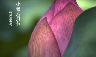 小暑节气的传说 小暑节气的传说是什么