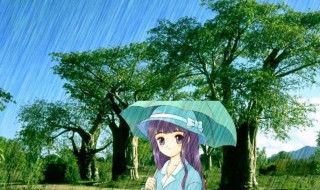 小暑下雨好还是不下雨好 小暑天下雨好吗