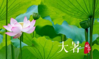 2021年大暑几日几时几分 2021年大暑是几月几日几点几分