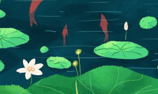 大暑习俗你知多少? 有关大暑的风俗