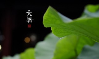 大暑养生要点讲解（大暑养生要点讲解大暑节气如何养生的短信）
