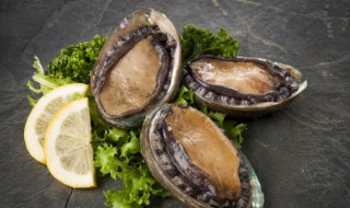 鲍鱼是寒性的还是温热（鲍鱼是温性吗）