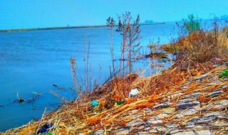 辽河是哪个省哪个市（辽河是哪个省哪个市的）