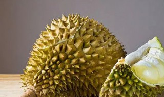 榴莲性热还是性寒（榴莲性温还是性寒）