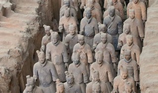 秦始皇兵马俑的介绍（秦始皇兵马俑的介绍作文）