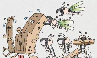 大水蚁和白蚁的区别 大水蚁和白蚁的区别图片