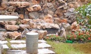 橘井泉香是指什么 橘井泉香是指什么树