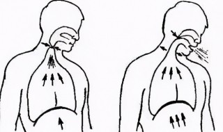 初学者怎么学腹部发音（如何训练自己用腹部发音）
