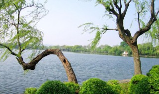 西湖周长多少公里 西湖周长约多少公里