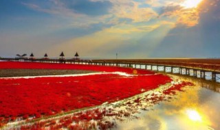 国家的实质是 国家的实质是(