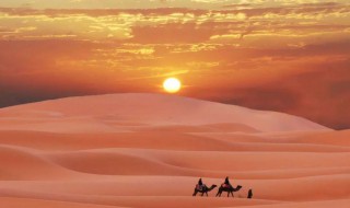 宁夏是省还是市 宁夏是什么省市