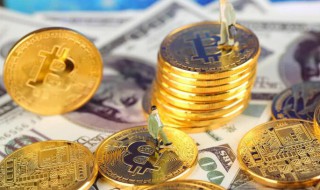 经济安全不包括哪些方面（经济安全不包括什么）