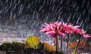 安徽梅雨季节是几月份（安徽梅雨季节是几月份到几月份结束2021年）