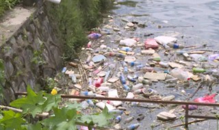 水体污染的四个危害（水体污染的主要危害）