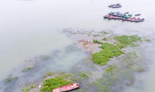 鄱阳湖面积多少平方千米 鄱阳湖面积多少平方千米以上