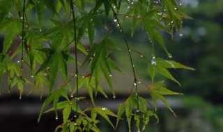 苏州梅雨季节是几月份 苏州梅雨季节是几月份开始