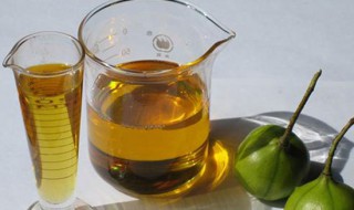 桐油的用途（桐油的用途这么广为什么这么便宜啊）