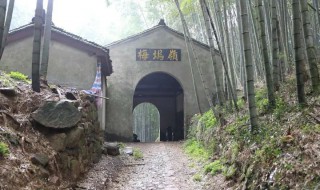 梅坞古道在哪里（梅坞古道线路图）