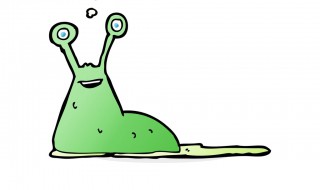 鼻涕虫是害虫还是益虫（鼻涕虫是害虫还是益虫图片）