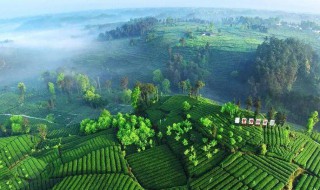 四川气候特点（四川气候特点及原因）