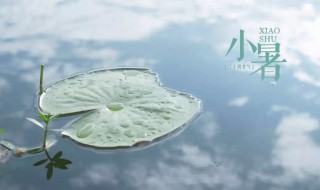 24节气小暑养生应注重什么 二十四节气小暑养生