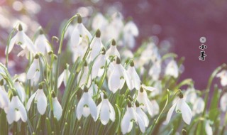 2021小暑的含义是什么 2021年小暑是