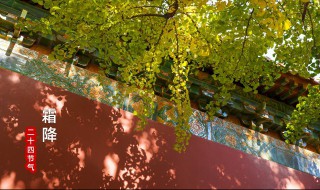 霜降节气的禁忌和讲究介绍 霜降时节有什么需要注意的健康小知识?