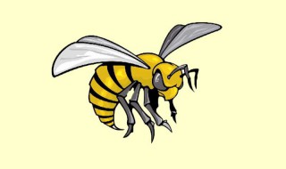 梦见马蜂是什么意思 梦到马蜂预示着什么