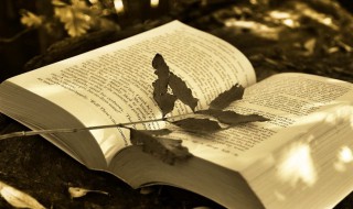 订单中的账期是指 帐期支付订单