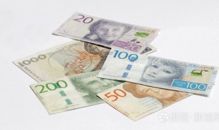 sek是什么货币（sek是什么货币和人民币）