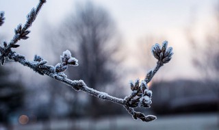 24节气霜降节气意味着什么 霜降节气的含义是什么二十四节气