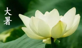 24节气大暑是什么意思 大暑是什么节气什么意思