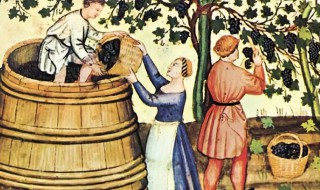 葡萄酒起源是什么 葡萄酒的起源