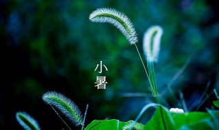 小暑节气的含义及习俗（小暑节气的风俗）