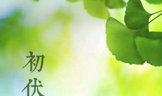 2021什么是三伏天 2021年三伏天是指哪些天