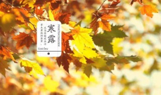 寒露节气的含义是什么以及养生技巧（寒露节气意味着什么）