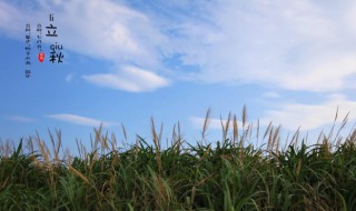 24节气立秋节气的含义是什么（24节气立秋节气的含义是什么）