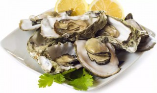 生蚝如何清洗内脏（生蚝如何清洗内脏图解）