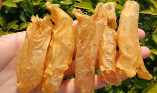 如何清洗花胶（怎样清洗花胶）