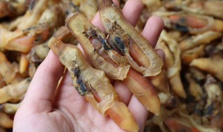 如何清洗蛏干（干蛏怎么洗）